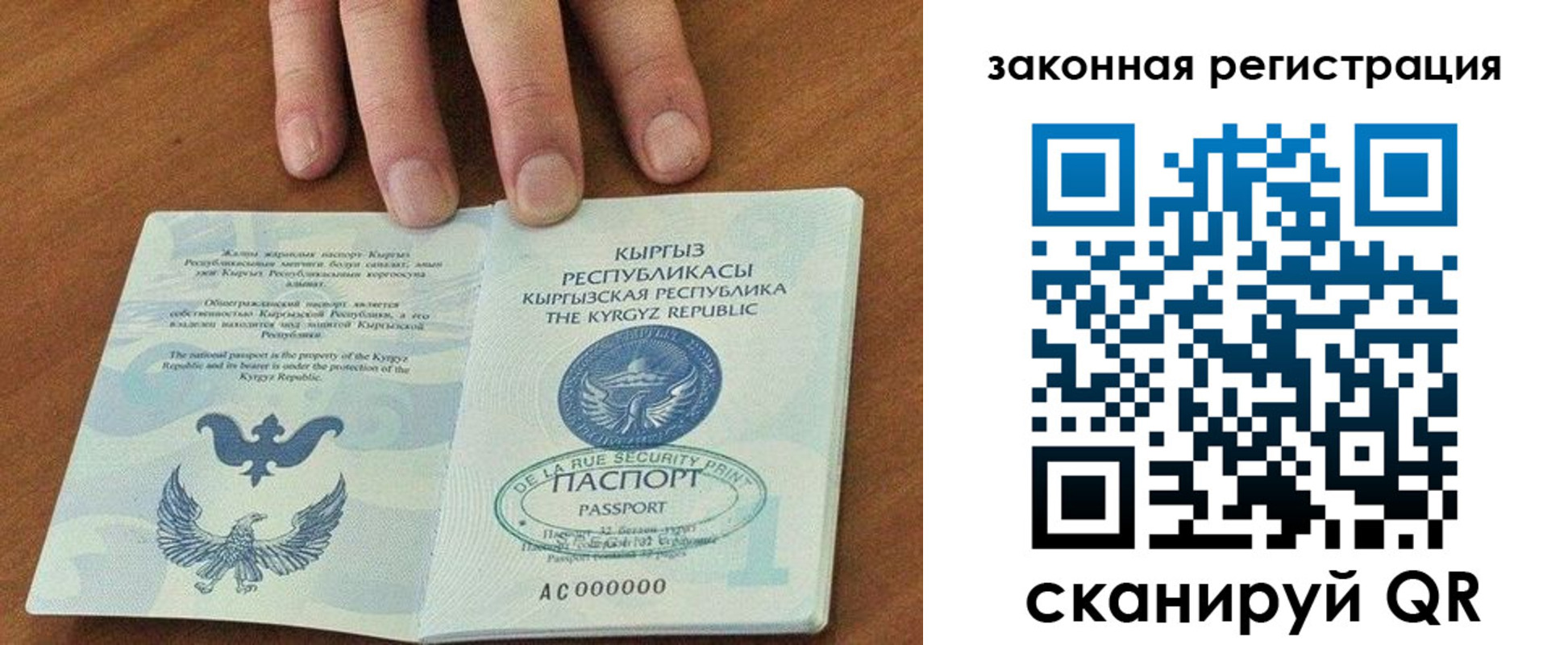 прописка гарантия в Ермолино